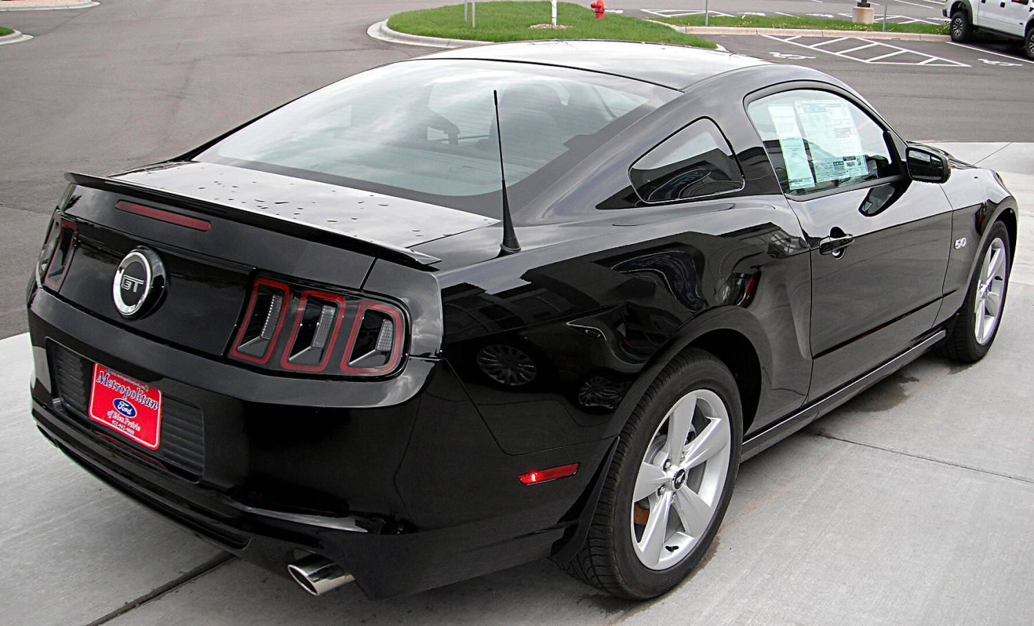 Example of a Mustang 5